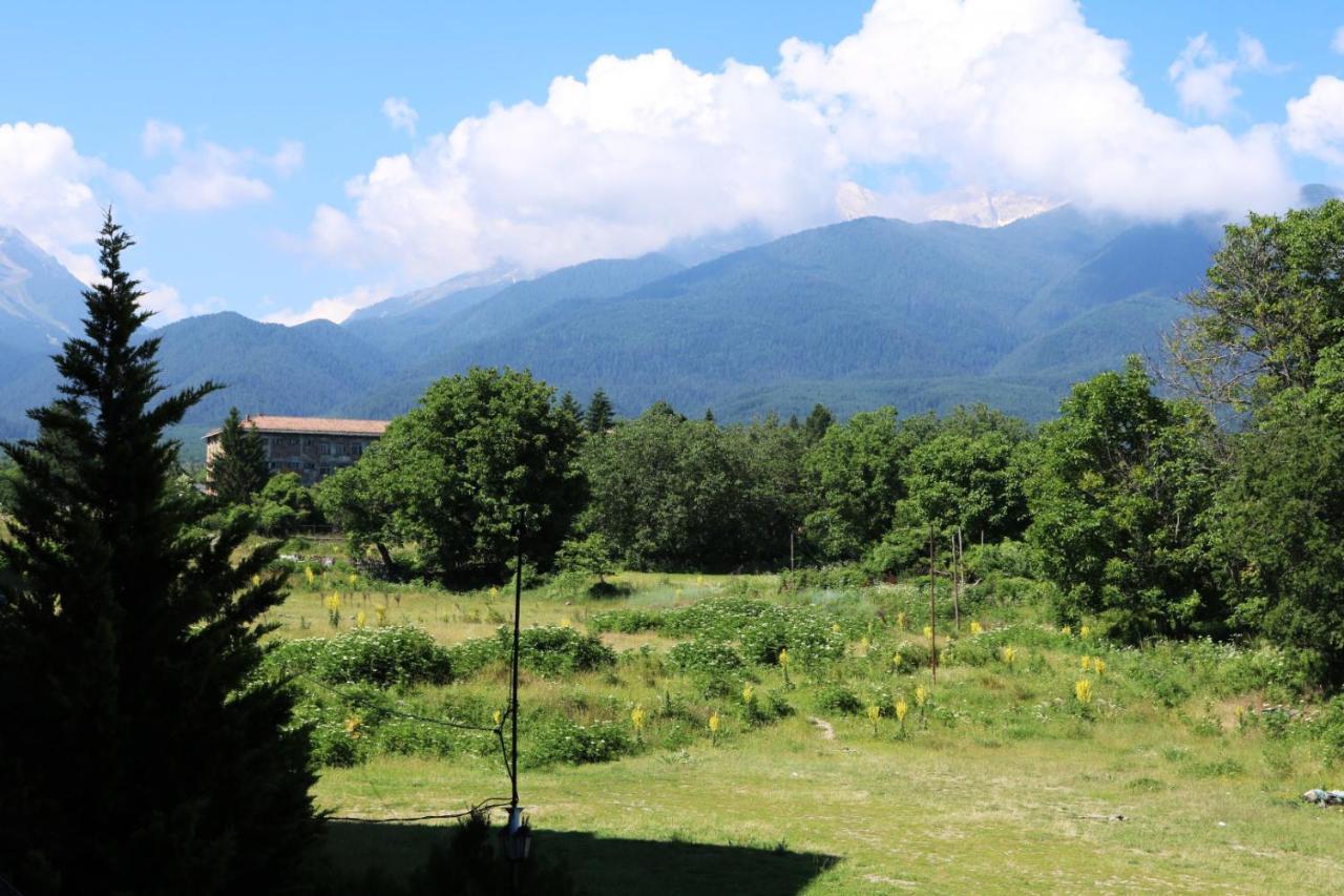 Private Apartments In Alpine Lodge Bansko Exterior photo